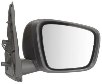 Renault Buitenspiegel 5402092434311P