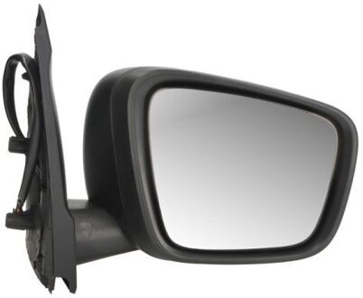 Renault Buitenspiegel 5402092434313P