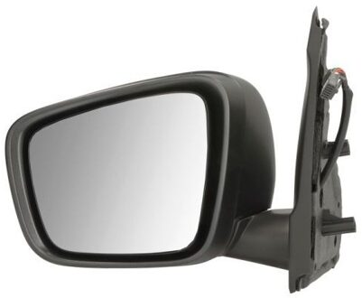 Renault Buitenspiegel 5402092434314P