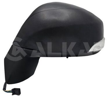 Renault Buitenspiegel 6126233