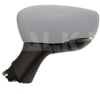 Renault Buitenspiegel 6139186