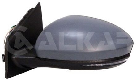 Renault Buitenspiegel 6143237