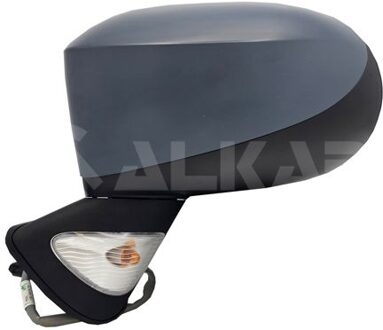 Renault Buitenspiegel links volledig 6139180