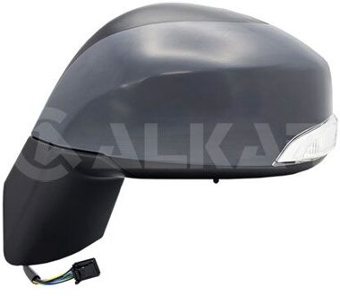 Renault Buitenspiegel links volledig 6140233