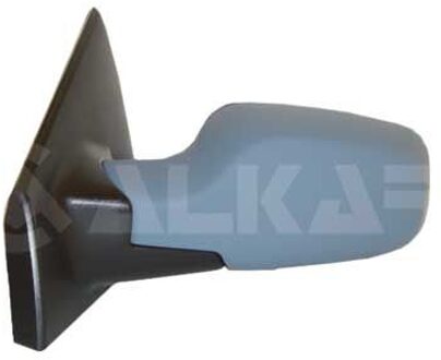 Renault Buitenspiegel rechts volledig 6126175