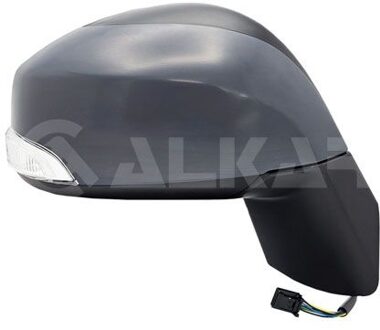 Renault Buitenspiegel rechts volledig 6139233