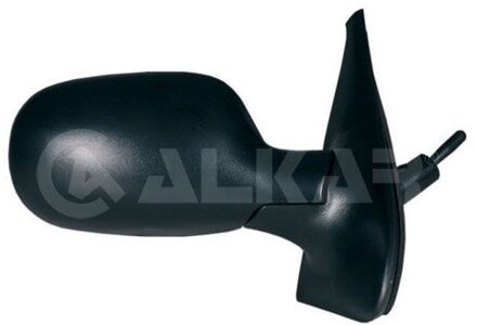 Renault Buitenspiegel rechts volledig 6165173