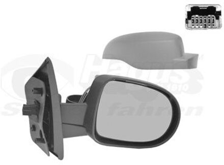 Renault Buitenspiegel