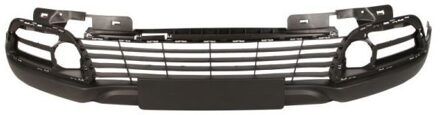Renault Bumper 5510006009900Q