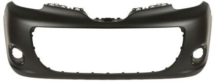 Renault Bumper 5510006011904Q