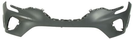 Renault Bumper 5510006013900Q