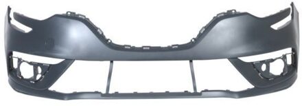 Renault Bumper 5510006044901Q
