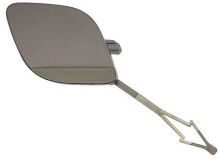 Renault Bumperafdekking, trekhaak 5513006001920Q