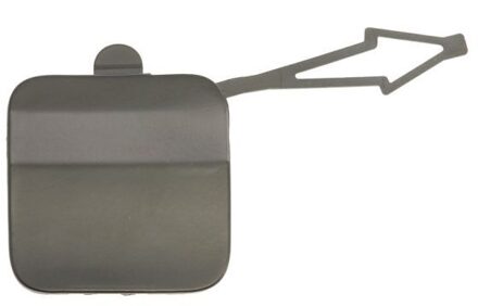 Renault Bumperafdekking, trekhaak 5513006001970Q