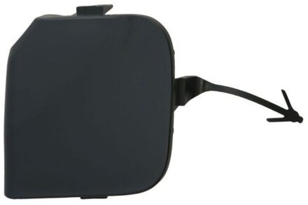 Renault Bumperafdekking, trekhaak 5513006009920P