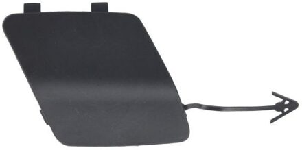 Renault Bumperafdekking, trekhaak 5513006089920P