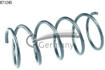 Renault Chassisveer 14871245