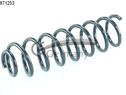 Renault Chassisveer 14871253