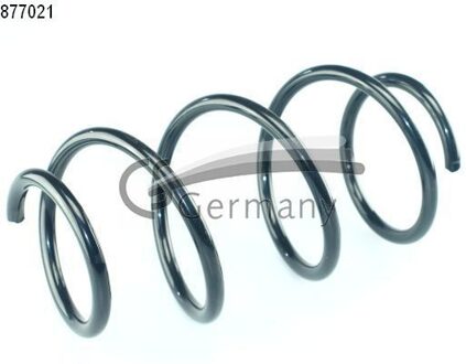 Renault Chassisveer 14877021