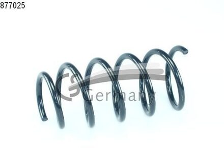 Renault Chassisveer 14877025