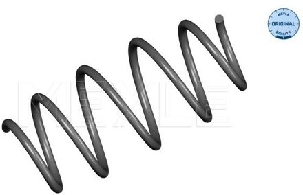 Renault Chassisveer 16146390002