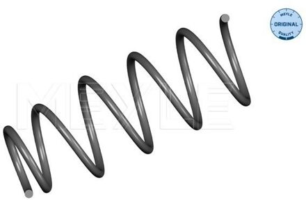 Renault Chassisveer 16146390003