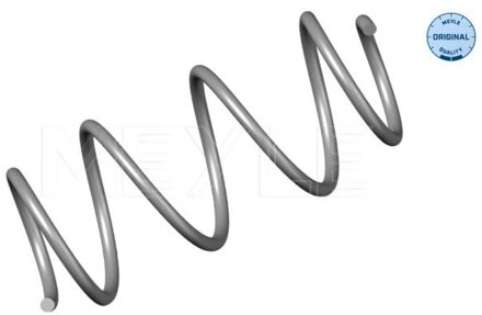 Renault Chassisveer 16146390005