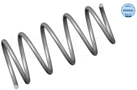 Renault Chassisveer 16146390006