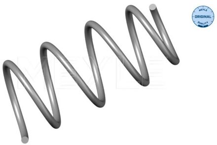 Renault Chassisveer 16146390011