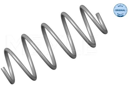 Renault Chassisveer 16146390012