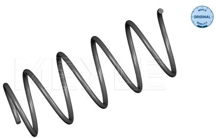 Renault Chassisveer 16146390014