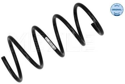 Renault Chassisveer 16146390026