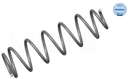 Renault Chassisveer 16147390002