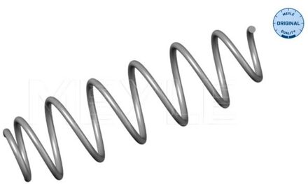 Renault Chassisveer 16147390005