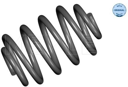 Renault Chassisveer 16147390006