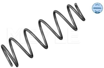 Renault Chassisveer 16147390008