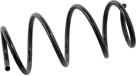 Renault chassisveer 47240