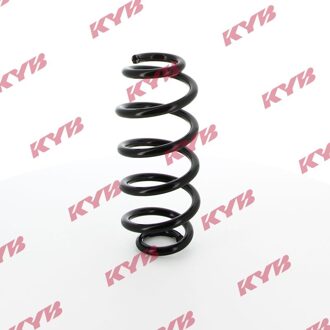 Renault Chassisveer RA5499