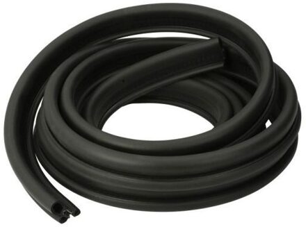 Renault Deurafdichting 5703046010508P