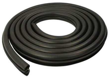 Renault Deurafdichting 5703046011501P