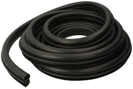 Renault Deurafdichting 5703046065506P