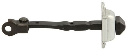 Renault Deurvastzetter 6004000103P