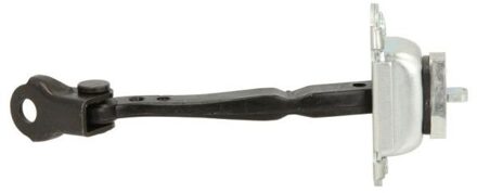 Renault Deurvastzetter 6004000105P