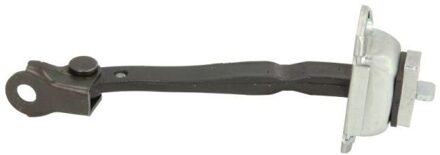 Renault Deurvastzetter 6004000106P