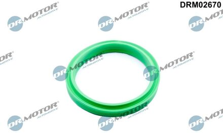 Renault Dichtring, laadluchtslang DRM02670