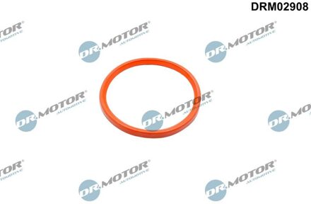 Renault Dichtring, laadluchtslang DRM02908