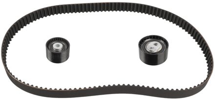 Renault Distributieriemset 106310