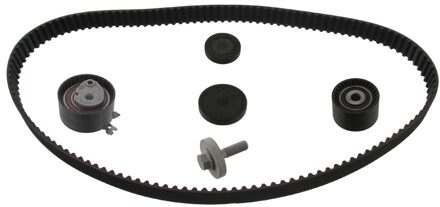 Renault Distributieriemset 36300