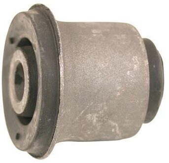 Renault Draagarmrubber