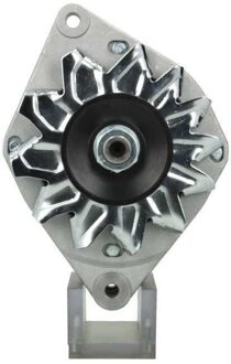 Renault Dynamo Renault 65A 575008065000